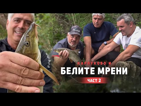 Видео: Карлуково и БЕЛИТЕ МРЕНИ -  2 част