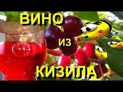 Видео: Ароматное вино с КИЗИЛА (пошаговый рецепт)
