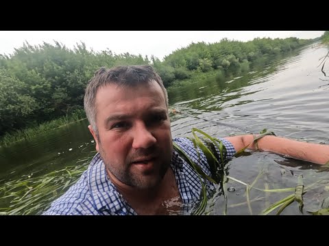 Видео: ТРОФЕЙНА РИБАЛКА НА р.ГОРИНЬ 2024! Риба затягнула у воду! Горинь 2024