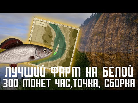 Видео: Лучший фарм на р.Белая Russian Fishing 4 #русскаярыбалка4 #russianfishing4 #фарм #фармсеребра#белая