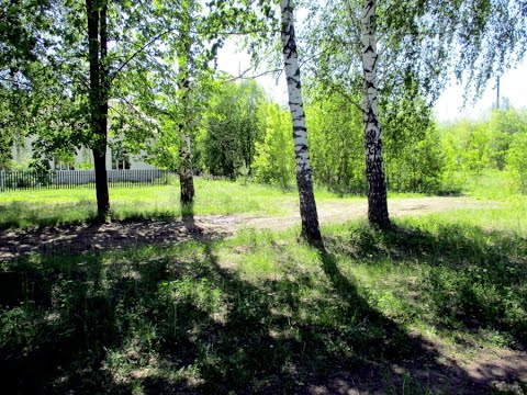Видео: село Большие Алгаши