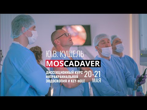 Видео: Кадавер для нейрохирургии "Интракраниальная эндоскопия и KEY-HOLE хирургия", профессор Кушель Ю.В.