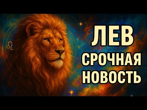 Видео: Лев — срочная новость! Судьба готовит поворот, который изменит всё. Ваше время настало. Гороскоп 