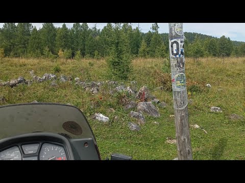 Видео: Горный Алтай 2023 Honda Transalp 600 Ороктойский Перевал