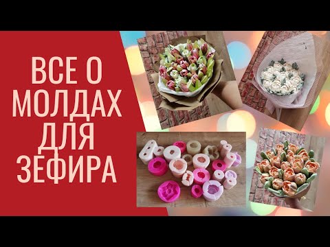 Видео: ВСЕ О МОЛДАХ ДЛЯ ЗЕФИРА | ЗЕФИР В МОЛДАХ | МОЛДЫ ДЛЯ ЗЕФИРА