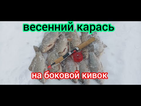 Видео: Весенний карась на зимний боковой кивок