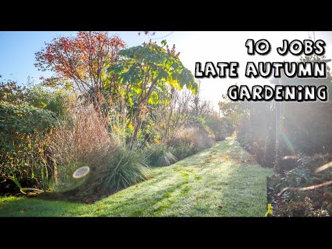 Видео: 10 садовых работ для поздней осени