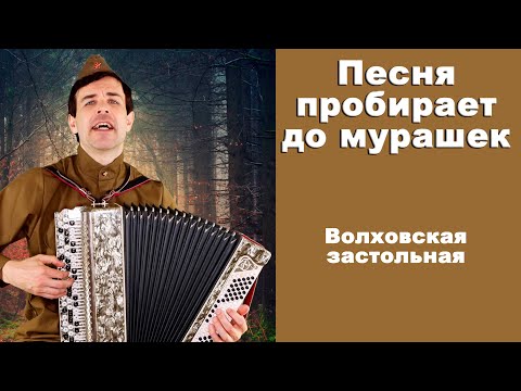 Видео: ВОЛХОВСКАЯ ЗАСТОЛЬНАЯ - поет баянист Вячеслав Абросимов