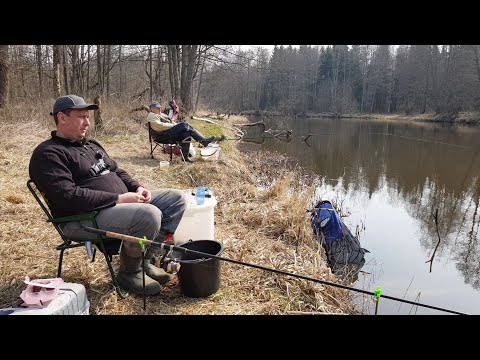 Видео: Открытие Сезона. Река Друть - Новое место. Фидер в Марте. Рыбалка с Ночевкой. Фидер на Друти.