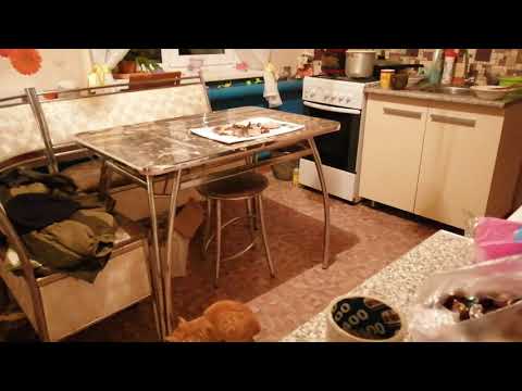 Видео: как отучить лазить по столу кошек.