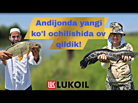 Видео: Андижон Избосканда пуллик кўл баликлари жуда катта экан. 