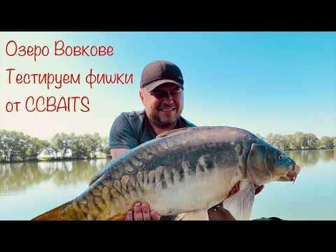 Видео: Ловим карпа в жару на флэт.