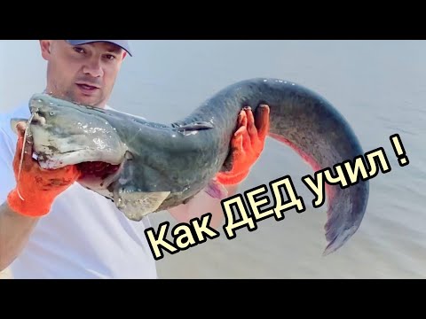 Видео: СОМ на ЖИВЦА? Или как поймать СОМА? Практика и результат