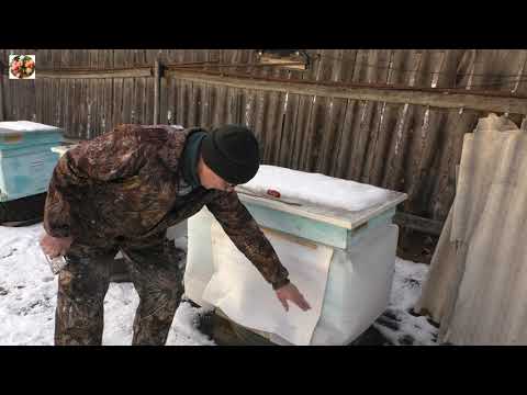 Видео: Чтобы пчёлы хорошо перезимовали.