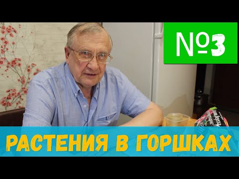 Видео: #3 Растения в горшках на дне аквариума. Технология / Аквариумистика с Геннадием Посейдонычем