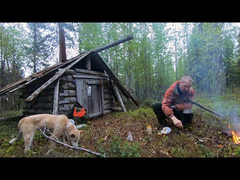 Видео: Не погибнуть на пороге избы.Шокирующий поступок медведя.Поход на 4 дня.