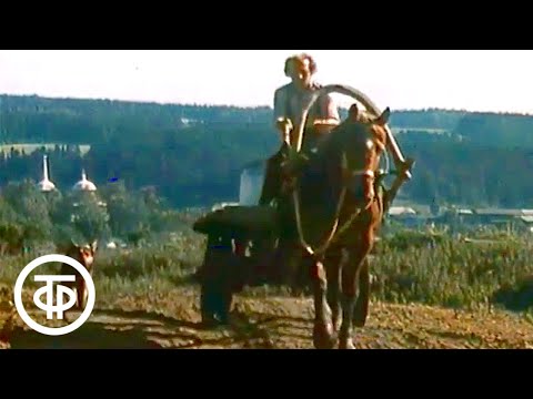 Видео: Эка невидаль. Об уходящем крестьянском ремесле - изготовлении телег и саней в Пермской области