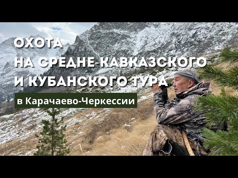 Видео: Охота на Средне-Кавказского и Кубанского тура в Карачаево-Черкессии