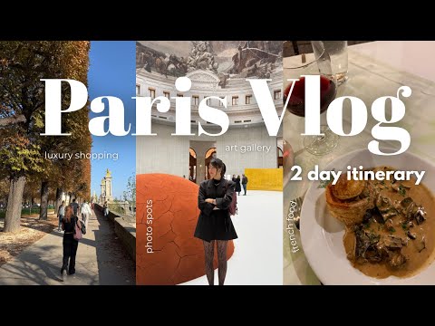Видео: чем заняться в Париже 2 дня || полный гид по еде, шопингу, художественным музеям и местам для фот...