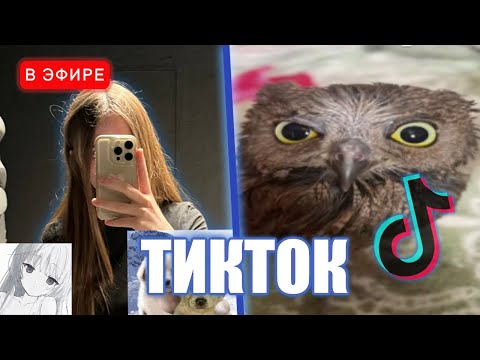 Видео: ЛИЗА СМОТРИТ ТИКТОКИ #18 | iceicell