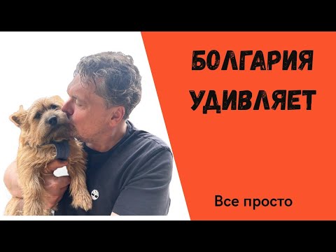 Видео: 28 апреля 2025 г.