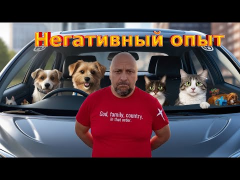 Видео: Рабочая нога/ Перевозка животных в Uber. 54/25