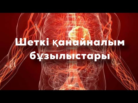 Видео: Шеткі қанайналым бұзылыстары🩸артериалдық гиперемия,веноздық гиперемия,стаз,эмболия,тромбоз