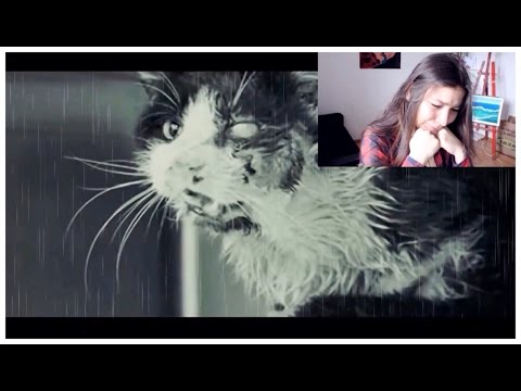 Видео: TRY NOT TO CRY CHALLENGE | ПОПРОБУЙ НЕ ЗАПЛАКАТЬ