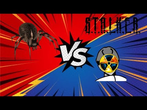 Видео: Фладар и пауки