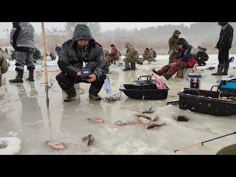 Видео: ТУТ ЗБИЛАСЬ ВСЯ РИБА, Клює один за одним, Рибалка на карася та коропа