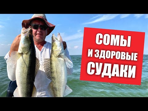 Видео: Клевало ВСЁ !!!   СОМ и ТРОФЕЙНЫЕ СУДАКИ !!! Рыбалка 2021