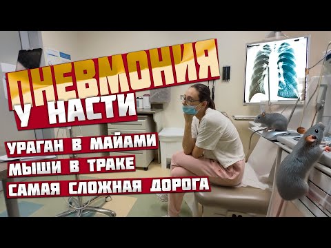 Видео: Настя с Пневмонией, ураган в Майами и Мыши в траке! Самая сложная дорога в нашей карьере!