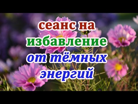 Видео: Энергетический оздоровительный СЕАНС на избавление от тёмных энергий