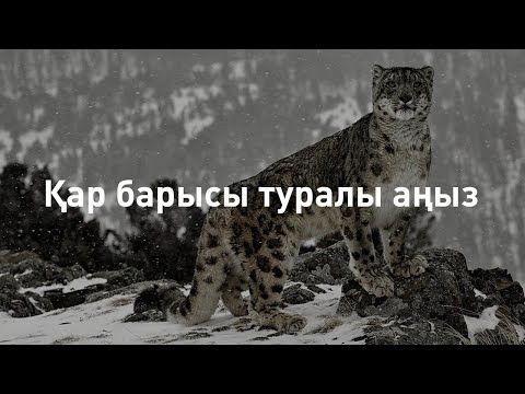 Видео: Әулиелер қайтыс болған соң қар барысына айналады – Тибет халқы. «Time Puzzle»