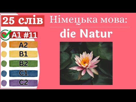 Видео: Німецька мова A1 #11 - 25 слів, die Natur/природа.✍️Німецька мова з нуля. Вчити німецьку мову.