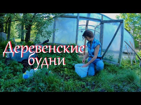 Видео: Огородно-рыболовный влог. Жизнь на хуторе.