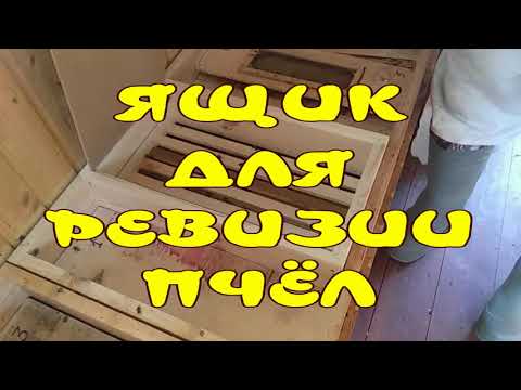 Видео: ЯЩИК ДЛЯ ЗИМНЕЙ РЕВИЗИИ ПЧЕЛ В АПИДОМИКЕ