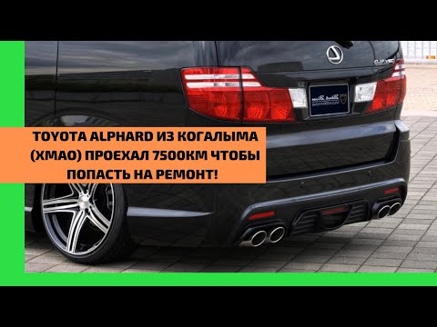 Видео: Шок❗️Путь длинною в 7500 км проехала Toyota Alphard для переделки перекидки! Спасибо за доверие !