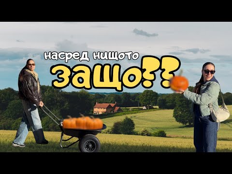 Видео: Ферма за тикви в Дания | Откраднаха ми чанатат