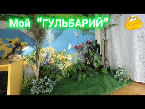 Видео: Декоративные растения в квартире.