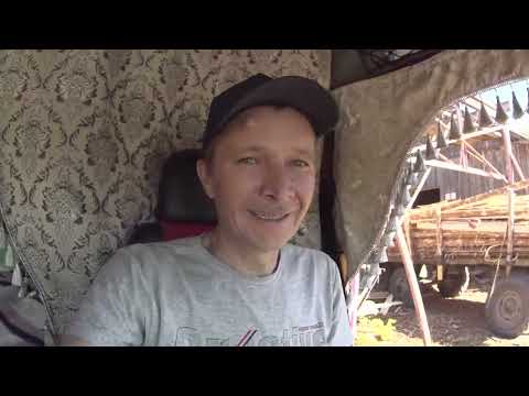 Видео: Ман F2000. На заметку Мановодам ))) Самодиагностика ...