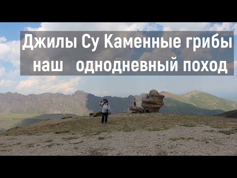 Видео: Джилы су  Каменные грибы как добраться