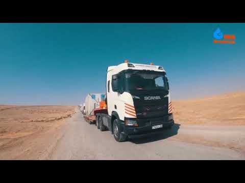 Видео: 4 ноября 2025 г.