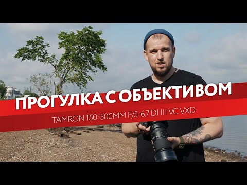 Видео: Tamron 150-500mm f/5-6.7 Di III VC VXD. Прогулка с объективом.