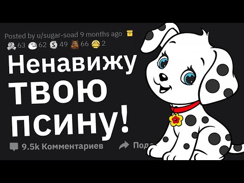 Видео: Когда Заставили Выбирать Между Второй Половинкой и Питомцем