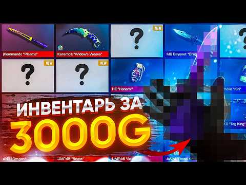 Видео: 😱ЗАКУП ФИОЛЕТОВОГО ИНВЕНТАРЯ на 3.000 ГОЛДЫ в STANDOFF 2! | ТРЕЙД В СТАНДОФФ 2