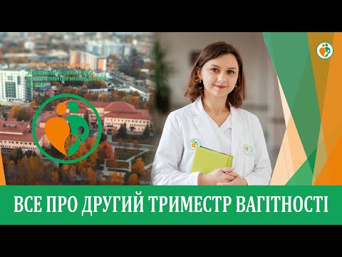 Видео: Все про другий триместр вагітності | Уляна Дем’янчук.