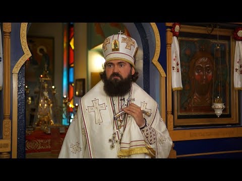 Видео: О причине нашей веры