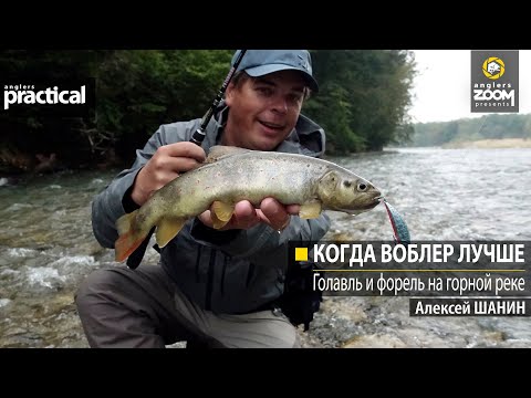 Видео: Когда воблер лучше. Голавль и форель на горной реке. Алексей Шанин. Anglers Practical