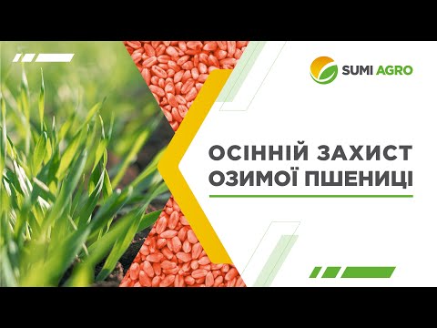 Видео: Осінній захист озимої пшениці препаратами «Самміт-Агро Юкрейн»